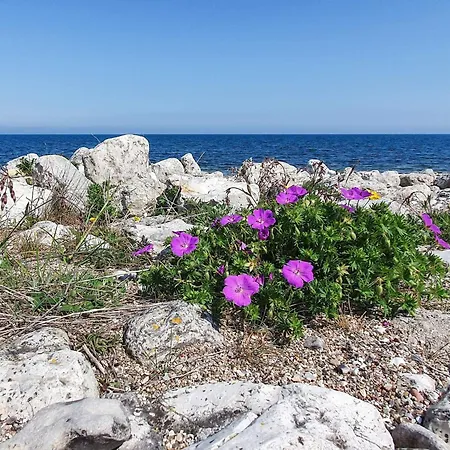 6 Person In Nykobing Sj